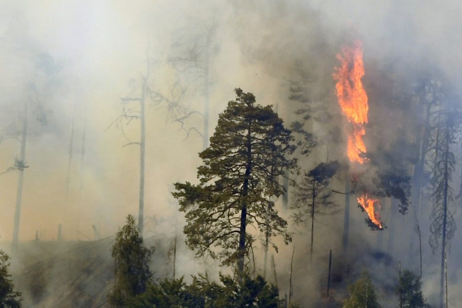 Verzweifelter Kampf in Sächsischer Schweiz: Glutnester flammen immer wieder auf
