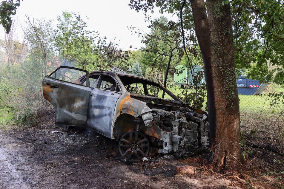 Bei der Flucht raste der Fahrer gegen einen Baum.