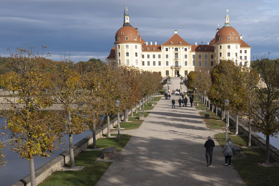 Am Schloss Moritzburg bei Dresden ereignete sich der Unfall. (Archivbild)