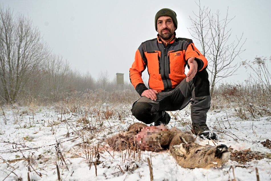 Conny Albert (39) vom Naturschutzverband Sachsen zeigt einen Rehkadaver.