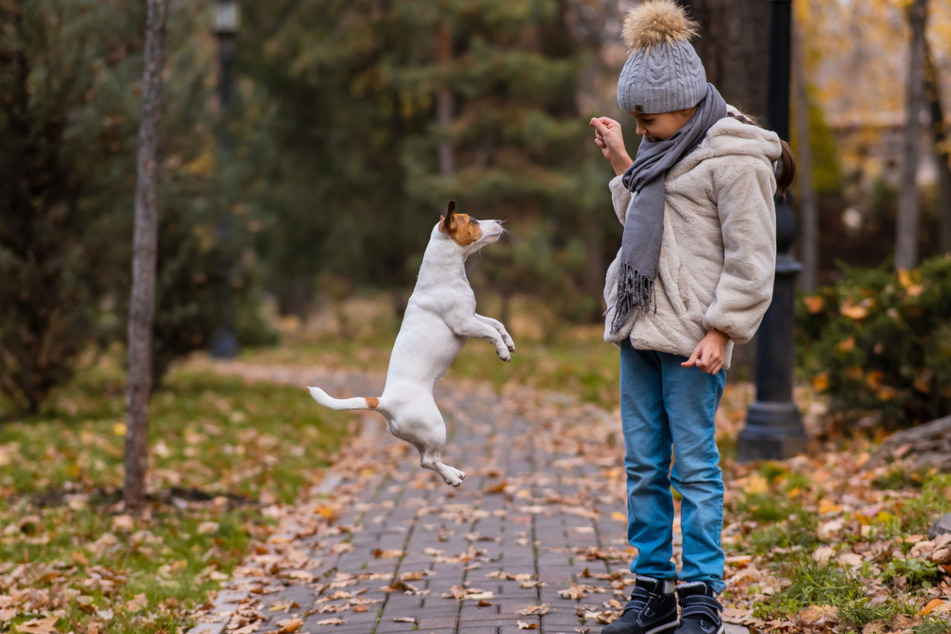 Ist der Hund gesund, freut sich der Mensch. Wurden sie früher als Arbeitstiere gehalten, sind Hunde heute Partner und Freunde ihrer Menschen. (Symbolbild)