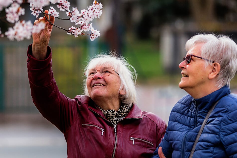 Diese Möglichkeiten haben Menschen im Alter in Chemnitz