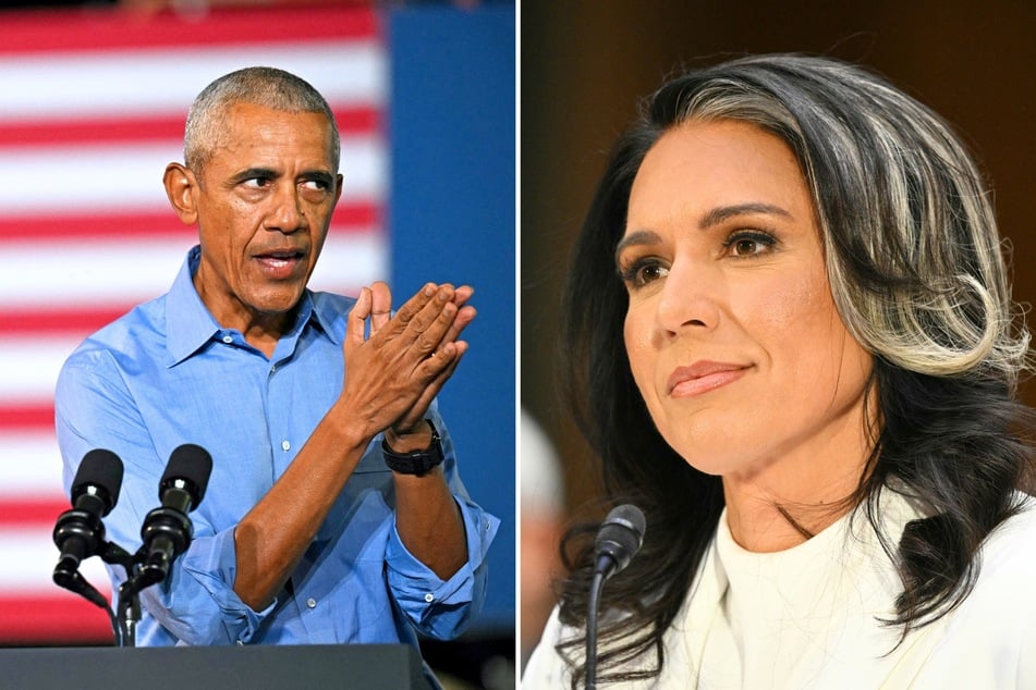 Tulsi Gabbard (r.) has unveiled what she claims is a massive conspiracy that Barack Obama (l.) lied about Russia interfering in the 2016 US presidential election.