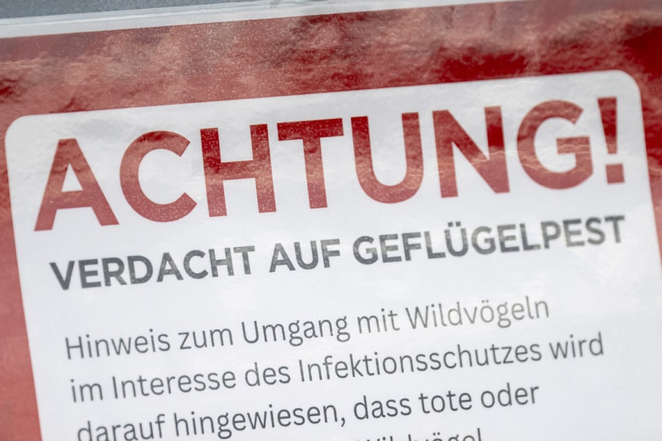 Die Landkreise forderten die Geflügelhalter auf, die Schutzmaßnahmen unbedingt zu verstärken.