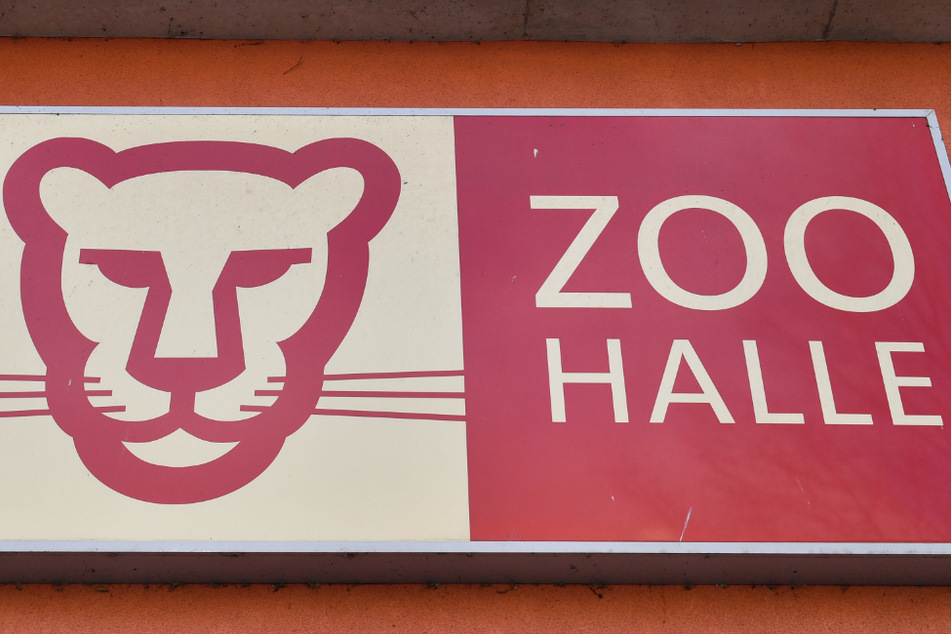 Zoonacht in Halle: Zu Gast im "Schlafzimmer" der Tiere