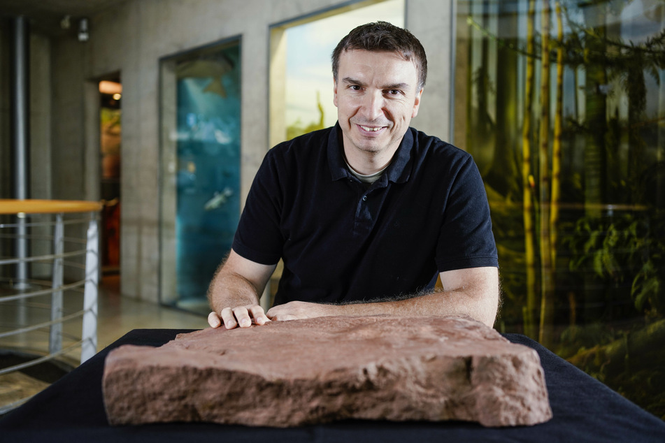 Sebastian Voigt, Leiter des Urweltmuseums Geoskop.