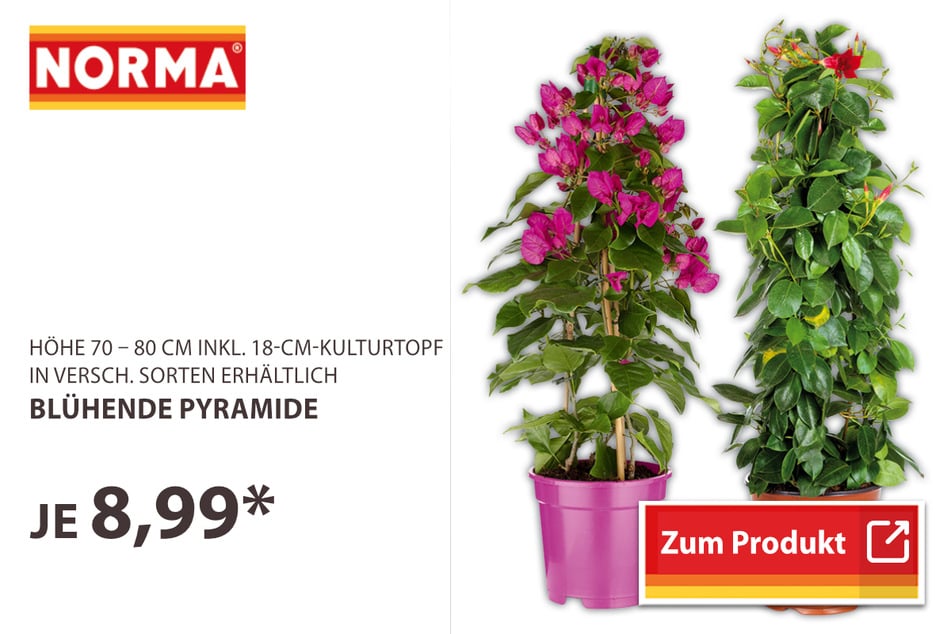Blühende Pyramide