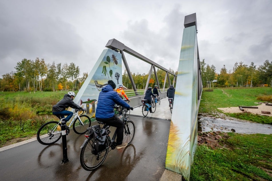 Eine Gruppe Fahrradfahrer radelt über die Fußgängerbrücke über den Pleißenbach am Premiumradweg. (Archivfoto)