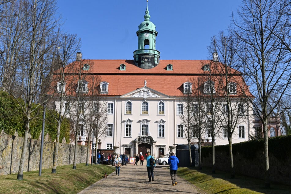 Traumhochzeit im Schloss Lichtenwalde?