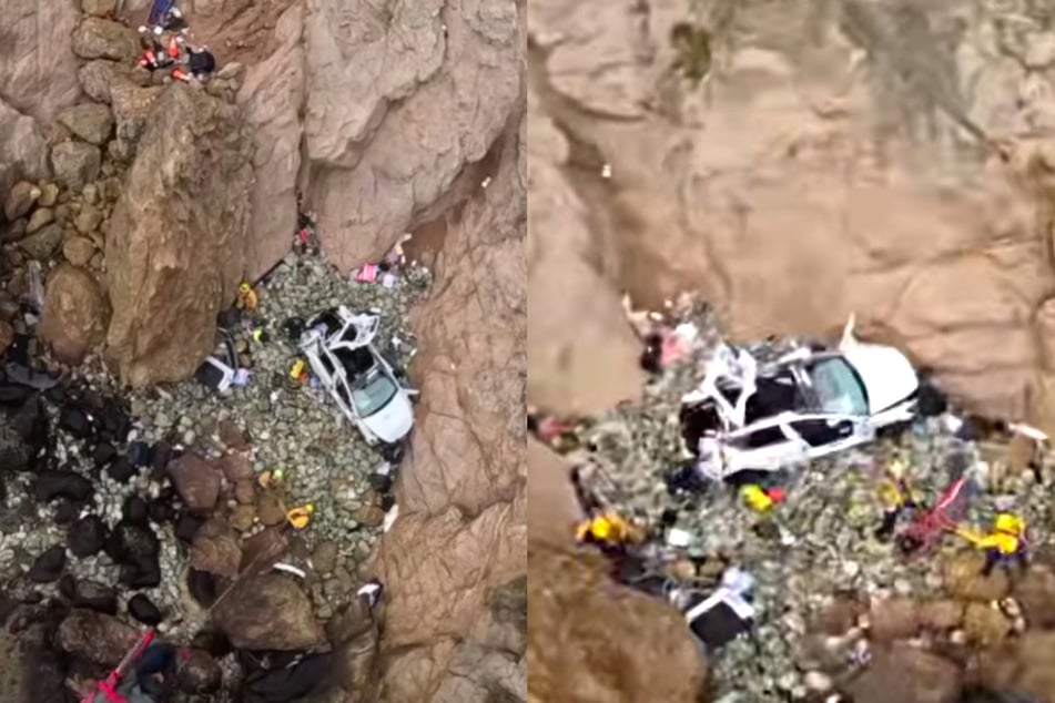 Two adults and two children have survived after accidentally driving their Tesla off a California cliff, flipping several times before landing on rocks below.