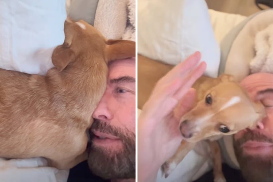 Der "Grease"-Darsteller John Travolta (72) teilte eine Schmuse-Aufnahme mit seiner Hundedame Peanut.