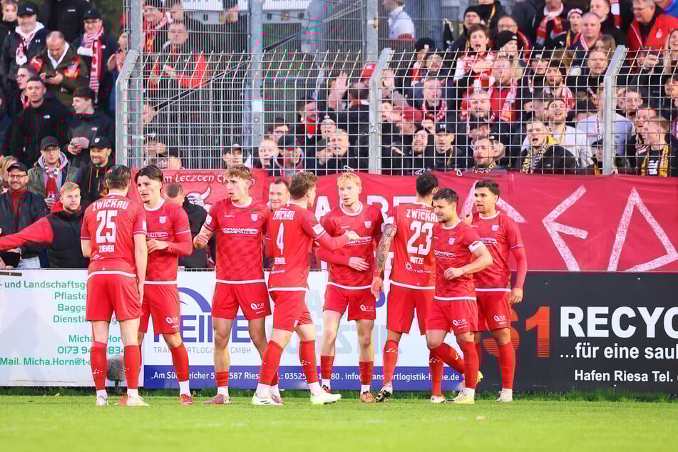 Die Schwäne konnten sich am Dienstag über einen 2:0-Sieg bei Stahl Riesa freuen. Damit sind die Zwickauer im Pokalfinale.