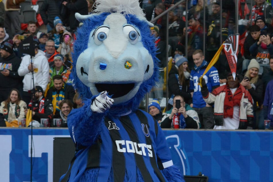 Zeigt sich zufrieden mit der Performance seiner Colts – zumindest noch: Maskottchen "Blue".
