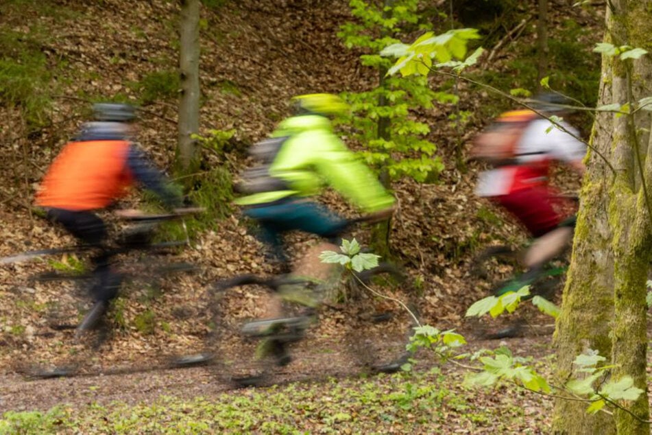 Köln: Radfahrer raus! Neues Gesetz soll Drahtesel-Spaß im Wald deutlich einschränken