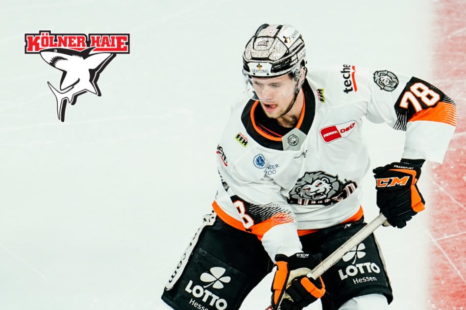 Rückkehr des verlorenen Sohnes perfekt: Kölner Haie holen Bokk aus Frankfurt