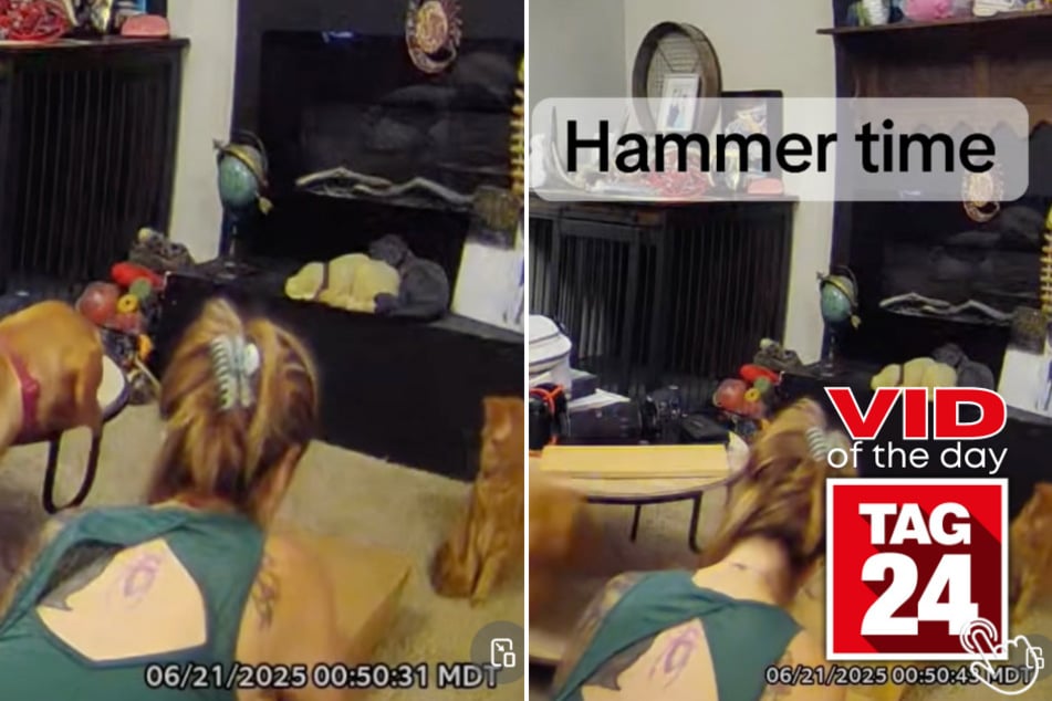 This cat saw his owner rebuilding a bathroom drawer and decided to try and help!