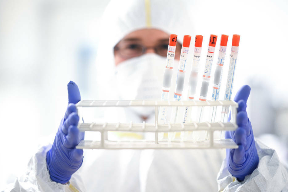 Bislang konnte bei der Schülergruppe aus dem südhessischen Rimbach keine Infektion mit dem Coronavirus nachgewiesen werden (Symbolbild).