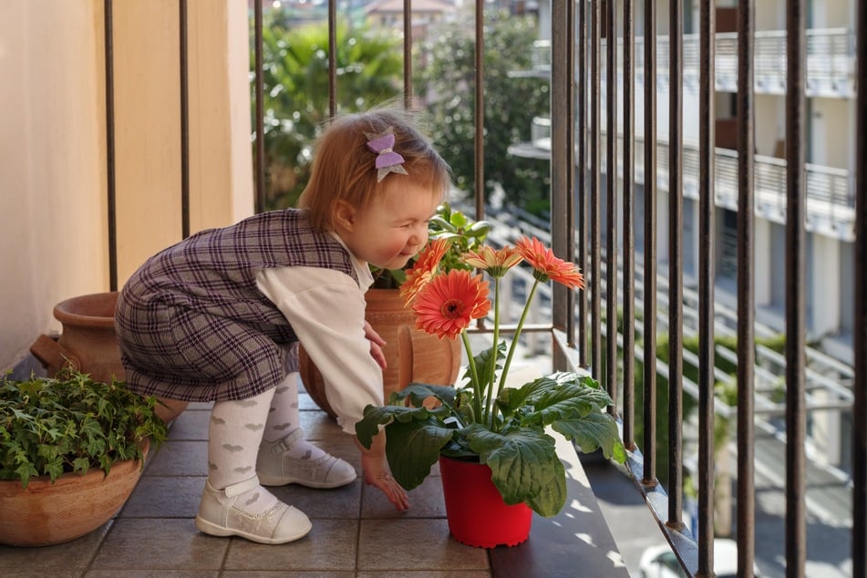 Auf einem kindersicheren Balkon sollten keine giftigen Pflanzen wachsen.