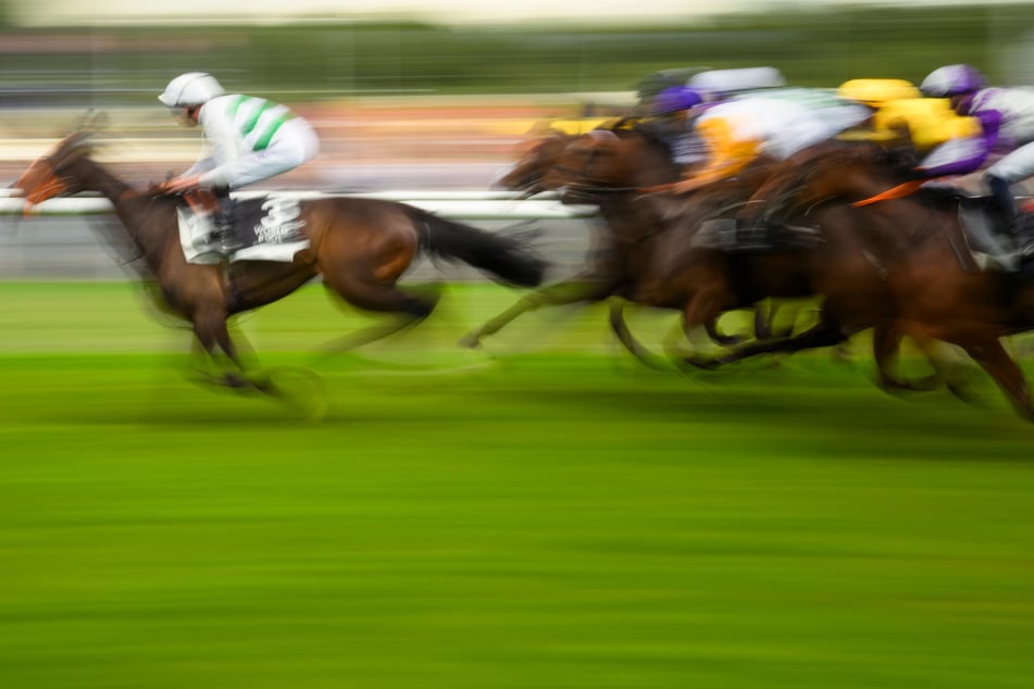 Caballo se lesiona gravemente en ambas patas durante una carrera: protectores de animales presentan denuncia