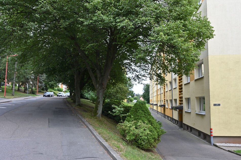 Der tödliche Unfall geschah in der Fritz-Heckert-Siedlung in Hohenstein-Ernstthal.