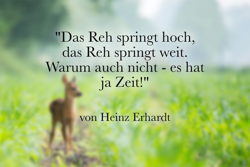 Heinz Erhardt sprach: "Das Reh springt hoch, das Reh springt weit. Warum auch nicht - es hat ja Zeit!"