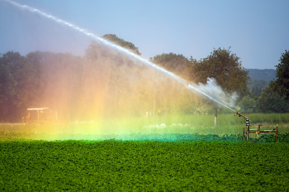 Der Frühling war in vielen Regionen regenarm und so sind die Landwirte gezwungen, manche Felder maschinell zu bewässern.