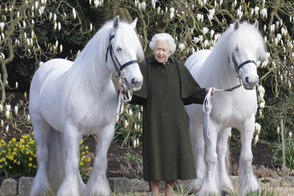 Seltene Aufnahme: Hier posiert die Queen mit ihren Pferden