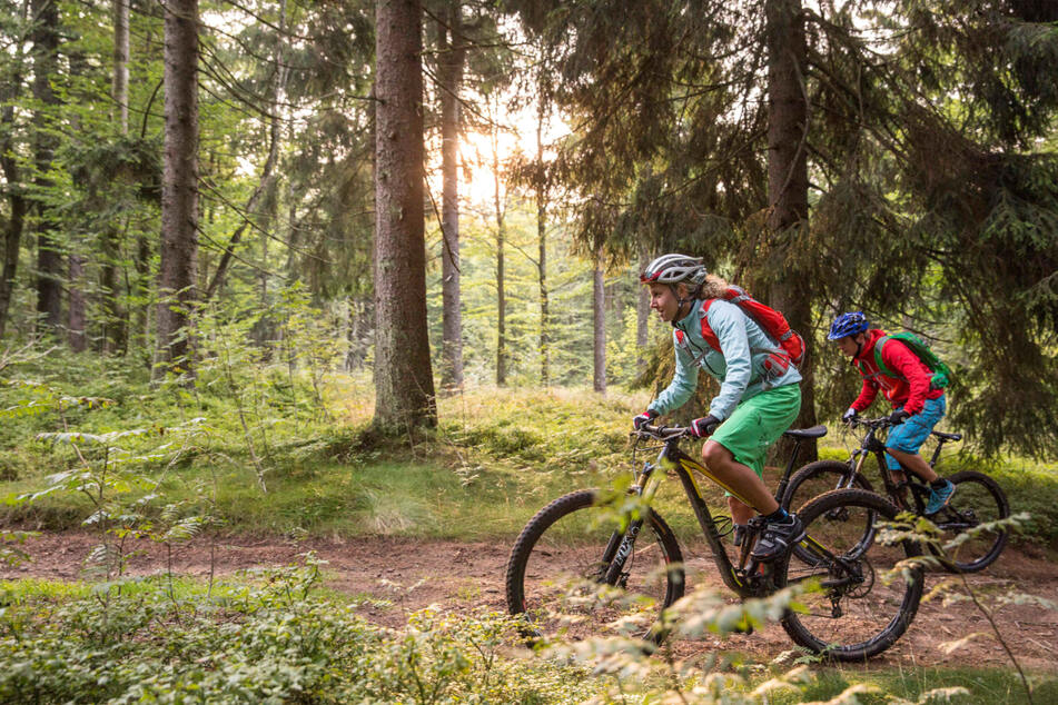 Mountainbiken soll in Sachsens Urlaubsregionen stärker in den Fokus rücken.