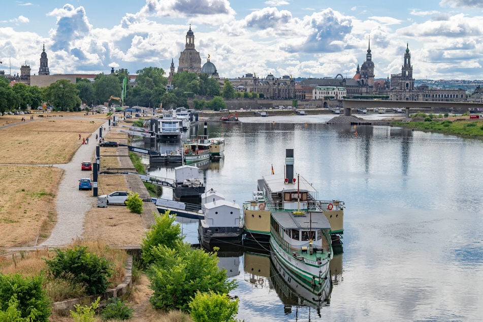 Die Weiße Flotte nahe Albertbrücke. Am Montag legten hier noch Schiffe zur Stadtfahrt ab. Auch am Dienstag sind sieben dieser Fahrten geplant.