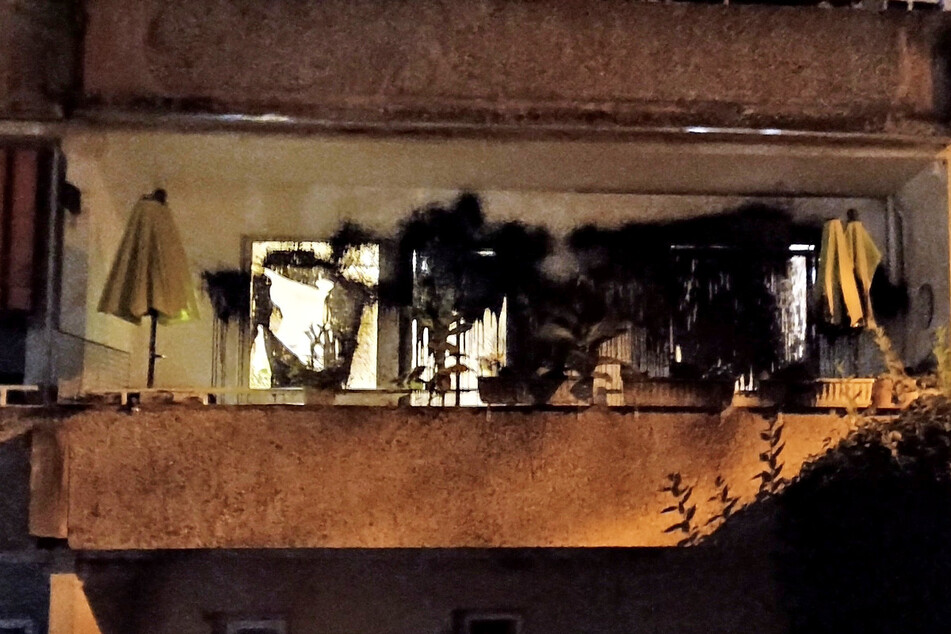 Unbekannte griffen in der Nacht zu Montag die Wohnung von AfD-Stadträtin Sylvia Deubel mit Farbbeuteln und Pflastersteinen an. Sowohl die Fenster als auch der Balkon wurden beschädigt.