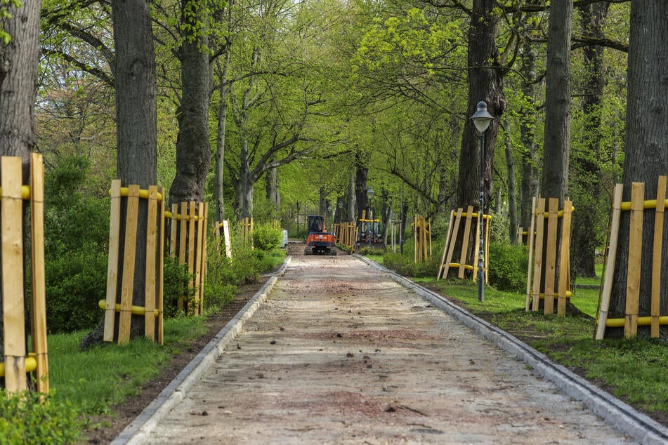 Aktuell laufen Sanierungsarbeiten am Schlossteich.