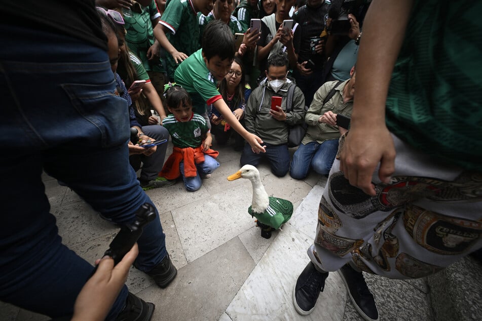 People gather around Merlin the duck in Mexico City on June 18, 2026.