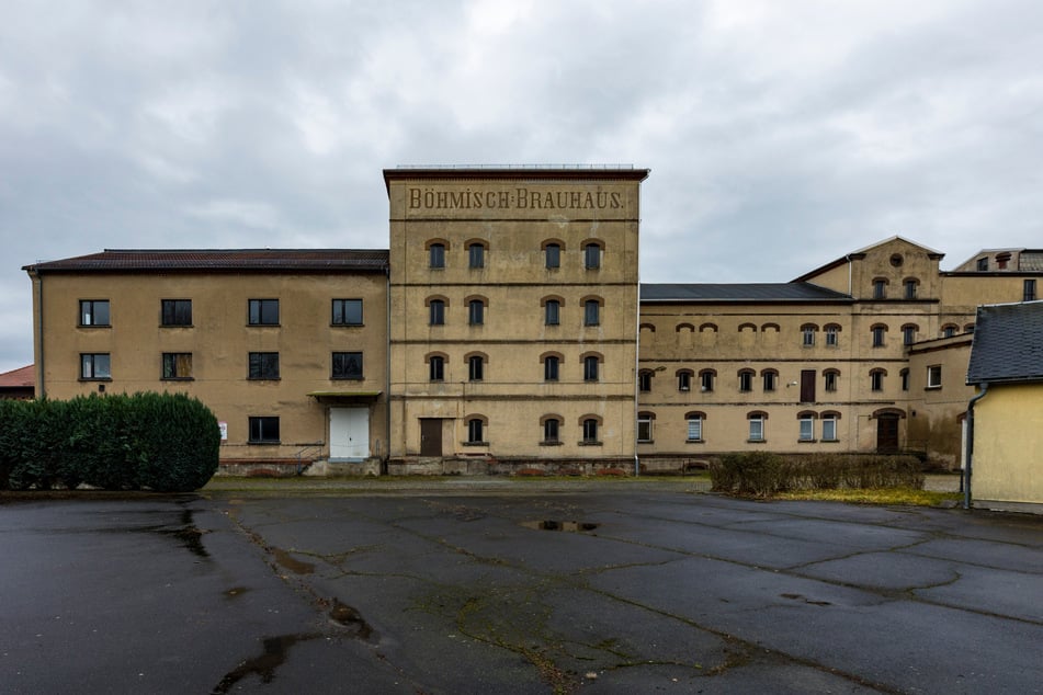 Die Pilzzucht erfolgt in der ehemaligen Brauanlage von "Böhmisch Pils". Tanks sollen zum idealen Lebensraum für japanische Pilze werden.