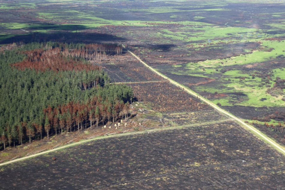 Noch immer finden sich im Naturschutzgebiet Hohes Venn an der deutsch-belgischen Grenze einige Brandherde, die wieder aufflammen können.