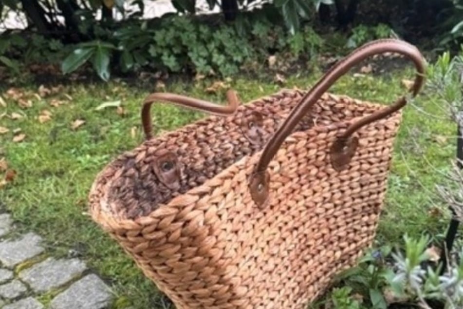 In diesem Flechtkorb wurden die Tiere von dem Ehepaar auf einem Feld gefunden.