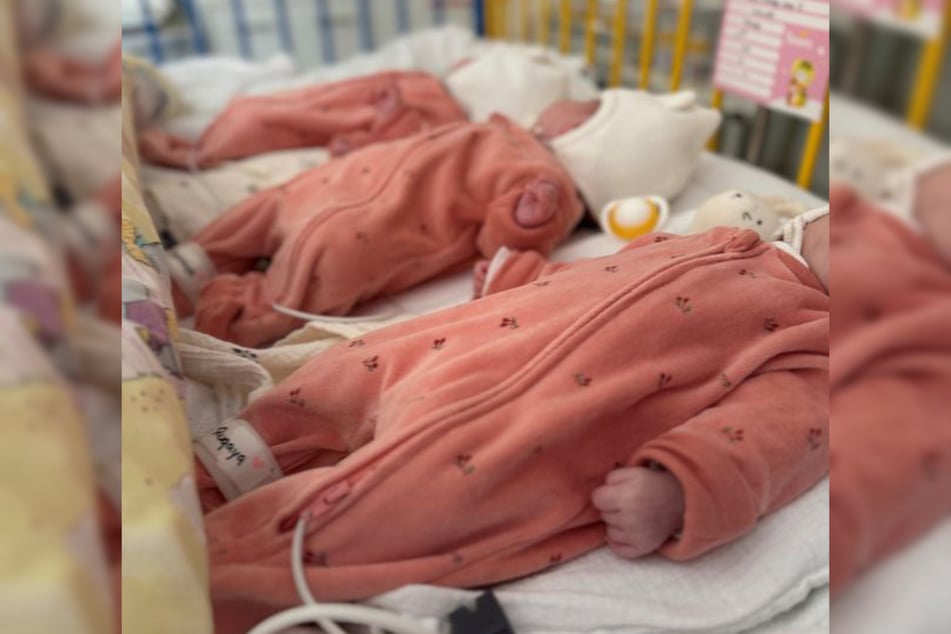 Los gemelos fueron dados de alta del hospital.