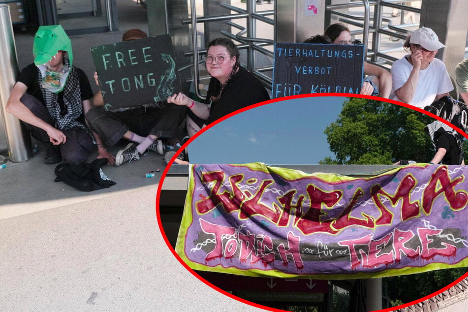 Stuttgart: Protestaktion nach Krokodil-Eklat: Aktivisten kleben sich an Drehkreuzen der Wilhelma fest