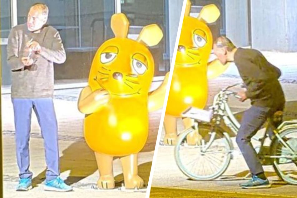 Mit diesen Fotos sucht die Polizei nach dem Maus-Brandstifter.