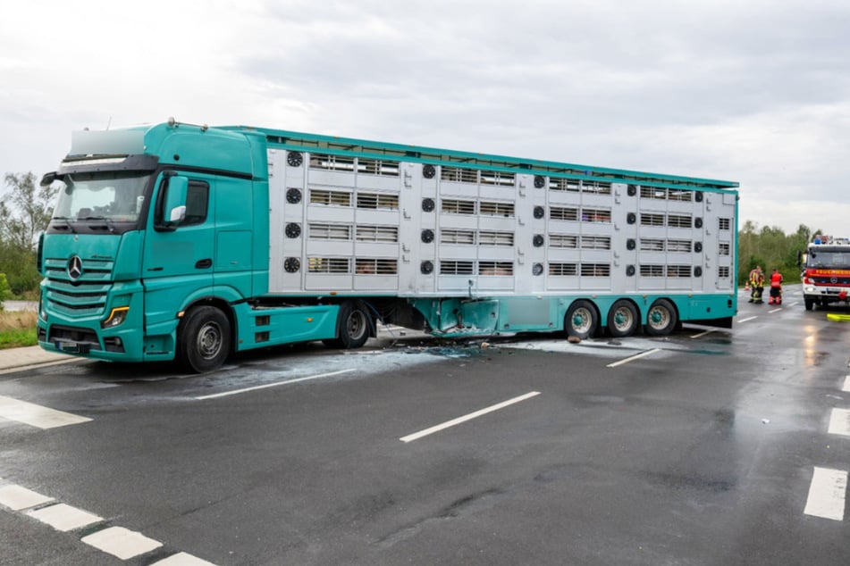 Der Geländewagen krachte seitlich in den Viehtransport.
