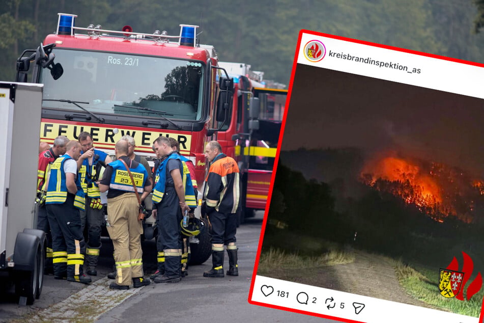 Waldbrand in der Oberpfalz: Vier Feuerwehrleute verletzt