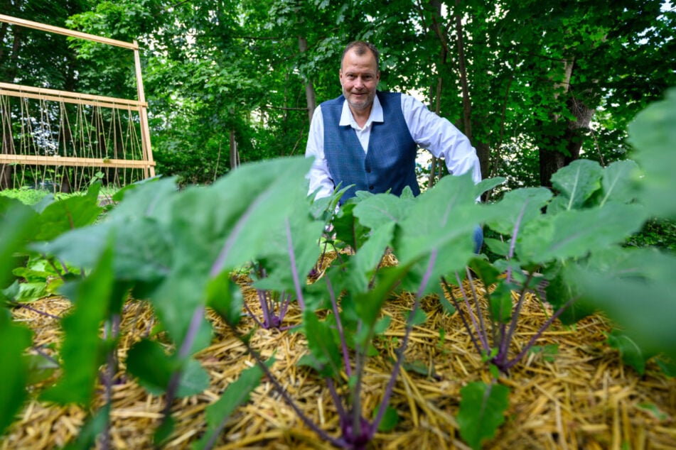 Gunnar Förster vor einem Beet mit Kohlrabi-Pflanzen. Auf seine gesunde Ernährung legt er jetzt viel Wert. Das war nicht immer so.