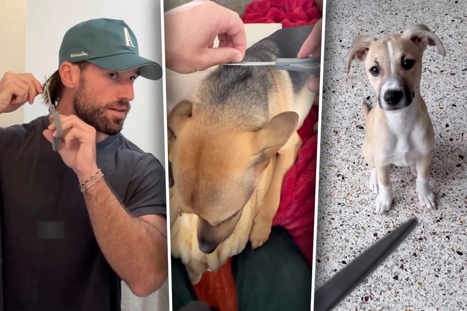 Michael Brown hat sich und seinen Hunden Cactus (M.) und Cowboy diese Woche ein Haarbüschel abgeschnitten.