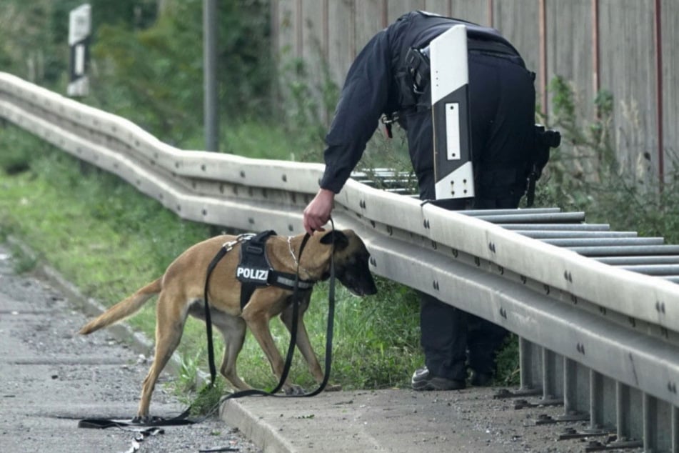 Zwei flüchtige Polen (28, 30) wurden schwer verletzt aufgegriffen. Ein Fährtenhund suchte nach weiteren Personen.