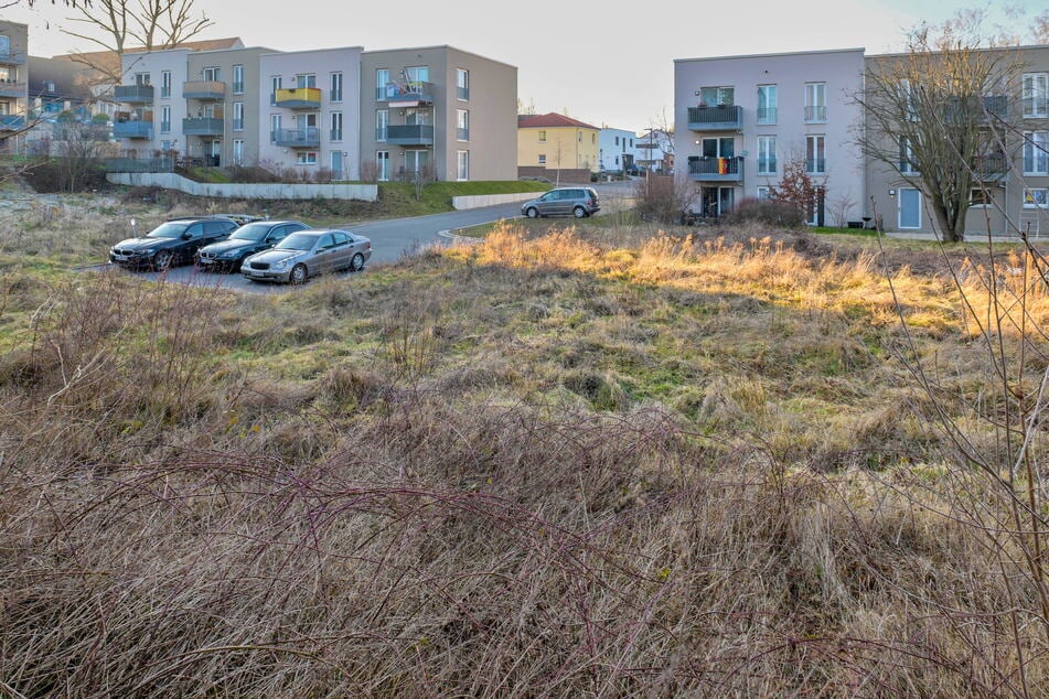 Für die Fläche am idyllischen Nickerner Weg (Lockwitz) gibt es von Seiten des Rathauses schon Ideen, Zusammenschlüsse werden deshalb von der kommunalen STESAD moderiert.