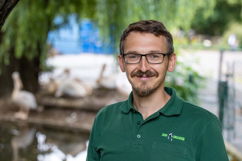 Zoo-Kurator Matthias Hendel (42) weiß, wie die Tiere auch bei Hitze kühl bleiben.