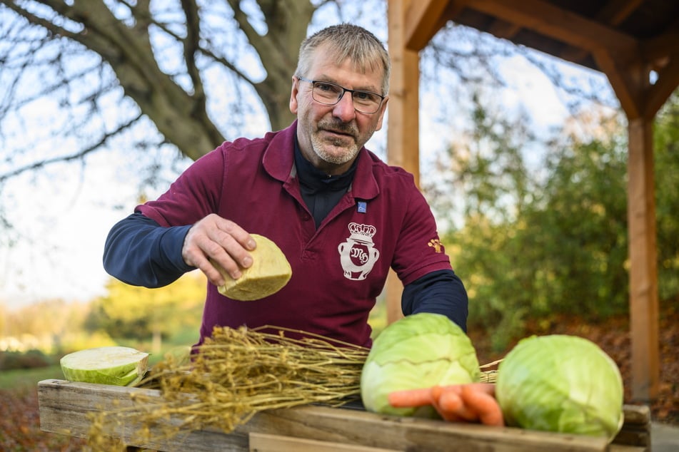 Seine Leidenschaft ist Sauerkraut: Michael Hauße (59) mit Kraut und Hobel.