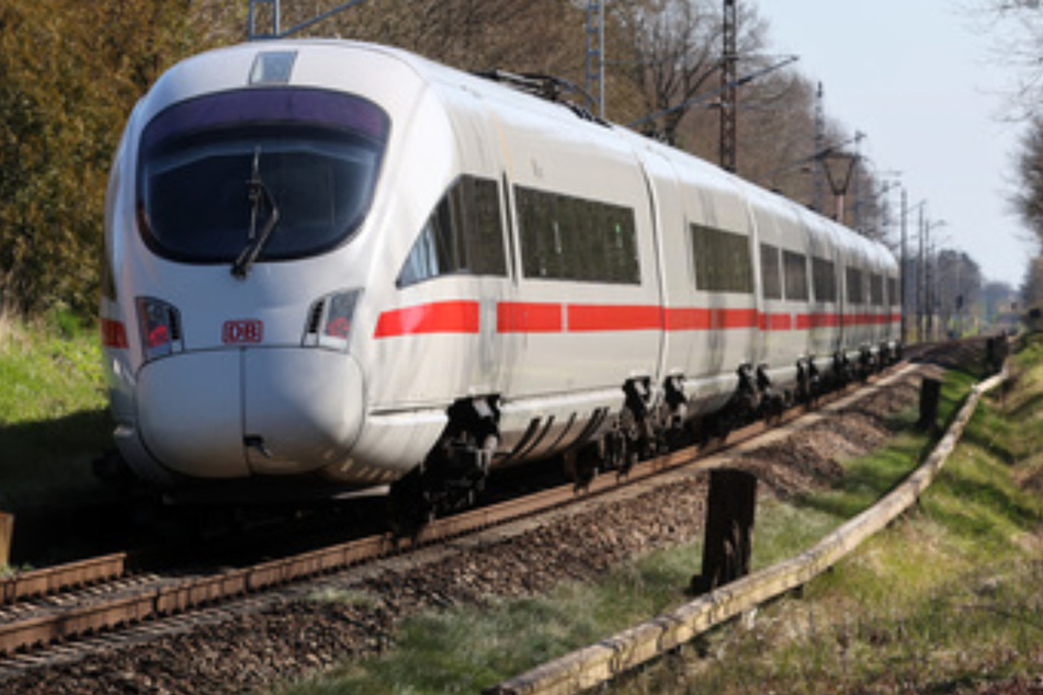 Fataler Unfall auf ICE-Strecke: Zug stößt mit Ziege zusammen!