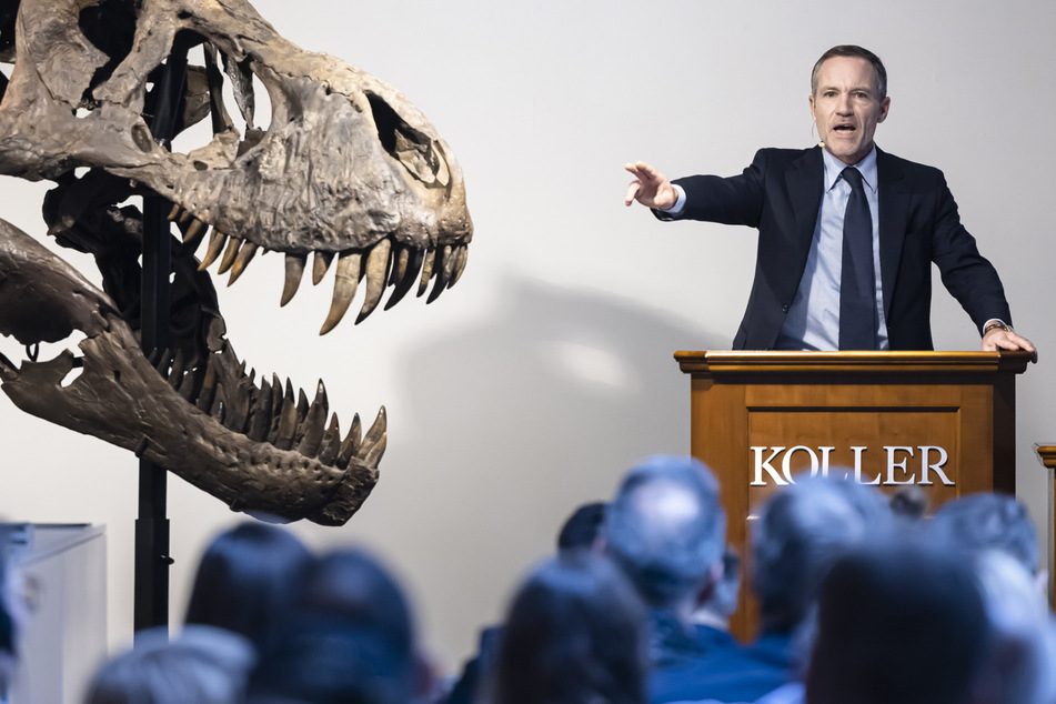 Sehr teure Knochen: Seltenes T-Rex-Skelett für Millionensumme versteigert