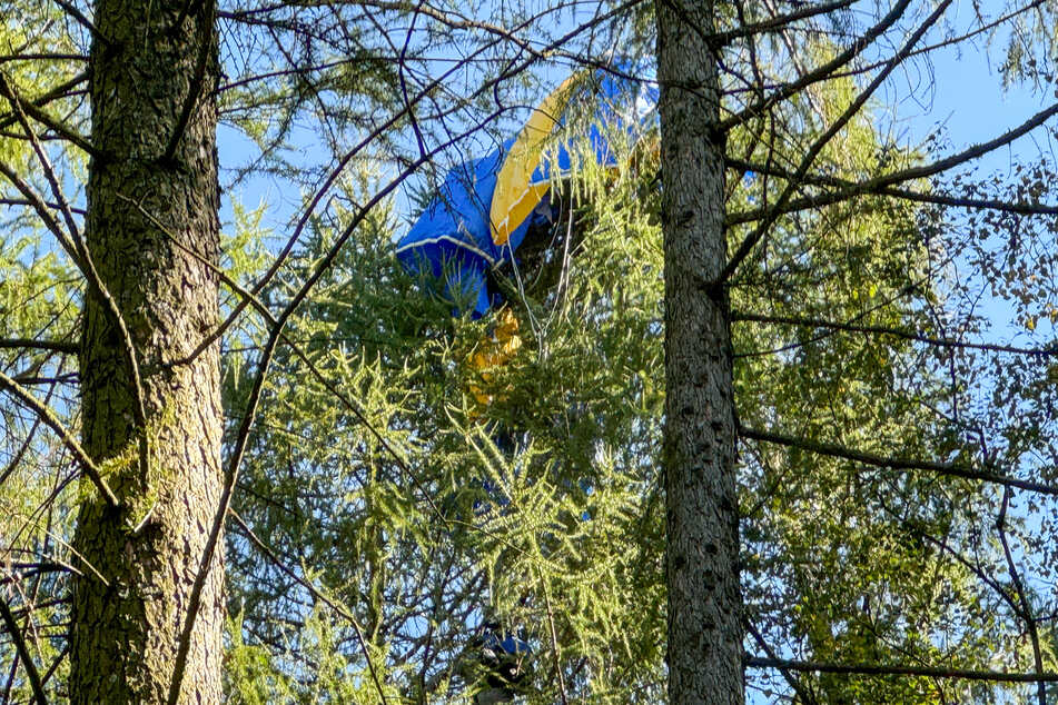 Ein Fallschirmspringer landete am Samstagmittag im Erzgebirge in einer Baumkrone.