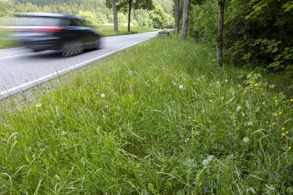 Autofahrer findet toten Mann im Erzgebirge: Polizei sucht Zeugen